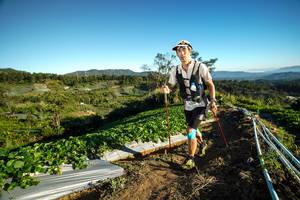 BIB: 
                            <button type="button" onclick="openModal(19111549)" class="btn btn-primary btn-sm float-right btn-popup" data-toggle="modal" data-target=".modal-high-quality">
                        <i class="fas fa-shopping-cart"></i> Add to Cart
                    </button>
                                            <button type="button" onclick="isThisMe(19111549, true)" class="btn btn-success btn-sm float-right btn-popup btn-isme hidden" data-toggle="tooltip" data-placement="bottom" title="นี่คือรูปของคุณใช่ไหม คลิกที่นี่เพื่อเอาเข้าอัลบั้ม">
                        <i class="fas fa-plus"></i> Add to album
                    </button>
                    <button type="button" onclick="isThisMe(19111549, false)" class="btn btn-warning btn-sm float-right btn-popup btn-isnotme hidden">
                        <i class="fas fa-ban"></i> Remove from album
                    </button>